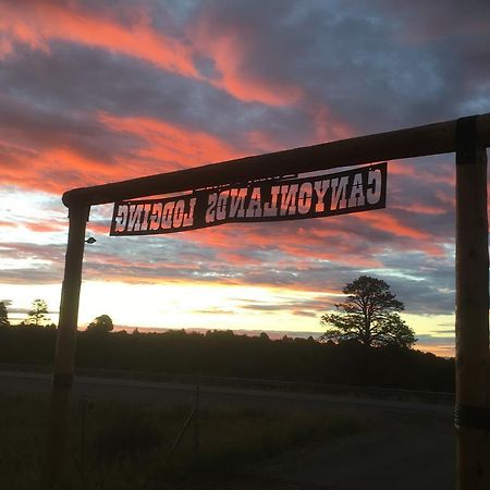 Lupine Cabin, Glamour Camping, Stunning Skies And Sunrise Views มอนติเชลโล ภายนอก รูปภาพ
